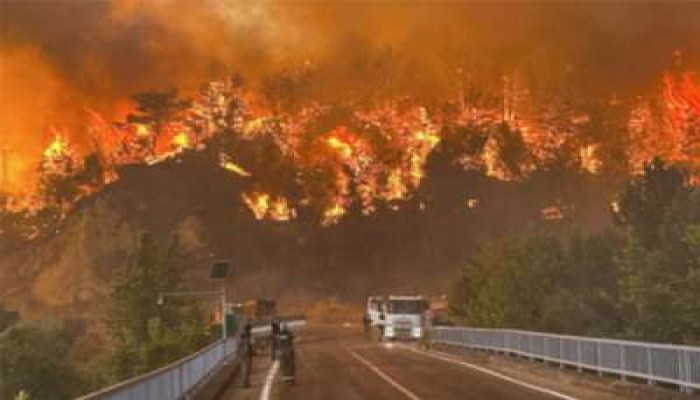 তুরস্কে দাবানল নেভাতে গিয়ে ১০ দমকলকর্মী নিহত