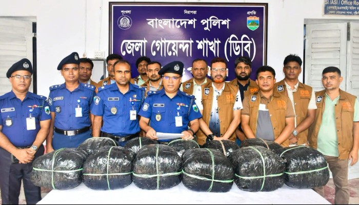 নওগাঁয় ডিবি পুলিশের অভিযানে ৪২.৫ কেজি গাঁজাসহ একজন মাদক কারবারি গ্রেপ্তার
