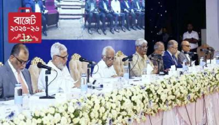 বাজেট বাস্তবসম্মত, সম্পূর্ণ বাস্তবায়ন হবে: পরিকল্পনা উপদেষ্টা